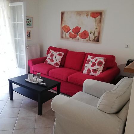 Sunny Stay Furnished Apartment In Kanoni 외부 사진