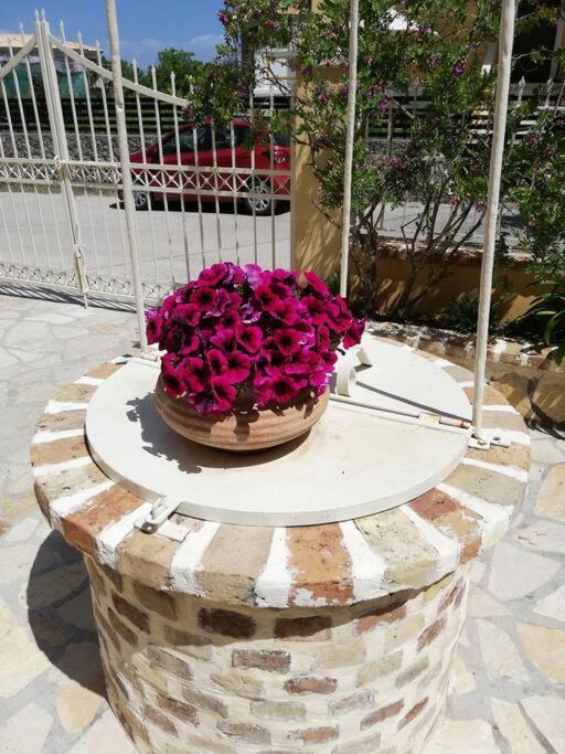 Sunny Stay Furnished Apartment In Kanoni 외부 사진