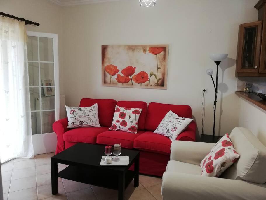 Sunny Stay Furnished Apartment In Kanoni 외부 사진
